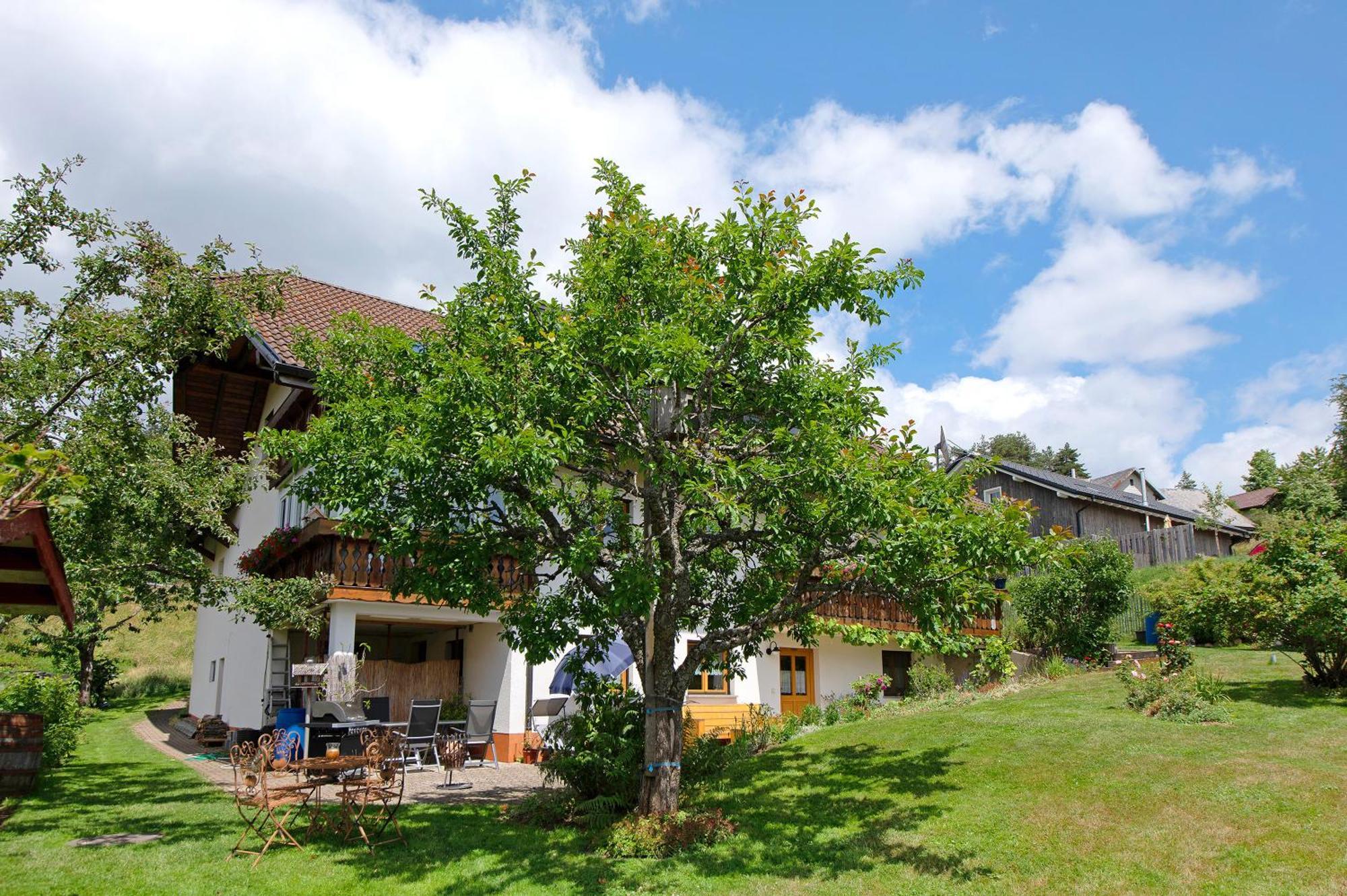 Ferienwohnung Blasi Mit Alpensicht Ibach Εξωτερικό φωτογραφία